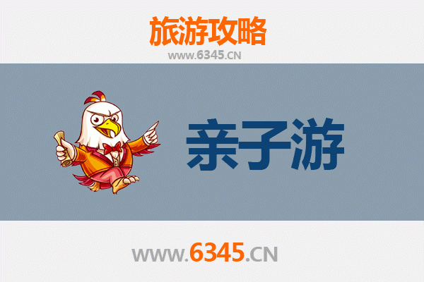 五指山毛道乡亲子游全攻略：雨林探秘与黎族文化体验