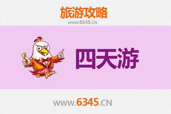 五指山毛道乡四天三夜深度游攻略：雨林探险与黎族文化体验