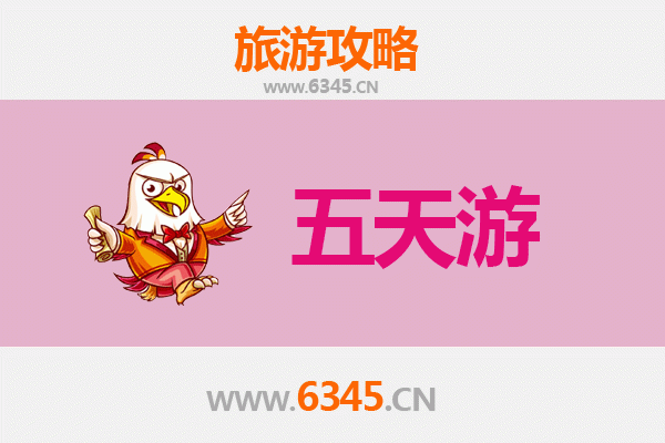 五指山毛道乡五天四夜深度游攻略：雨林探险与黎族文化体验